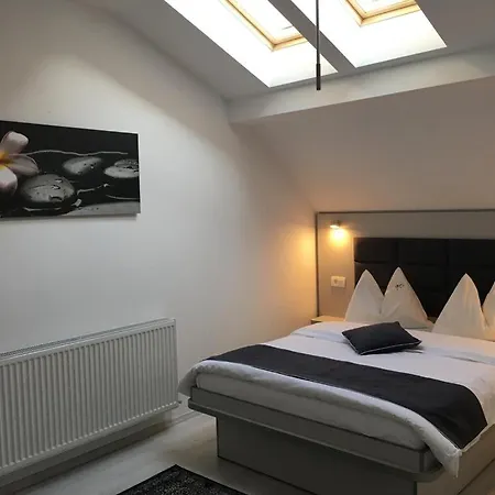 Maison d'hôtes Pensiunea Max *