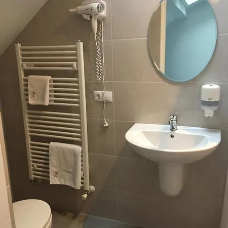 Pensiunea Max Pensionat Cluj-Napoca
