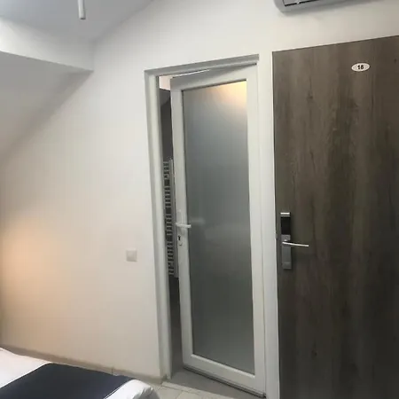 Guest house Pensiunea Max