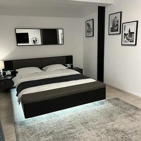 Guest house Pensiunea Max