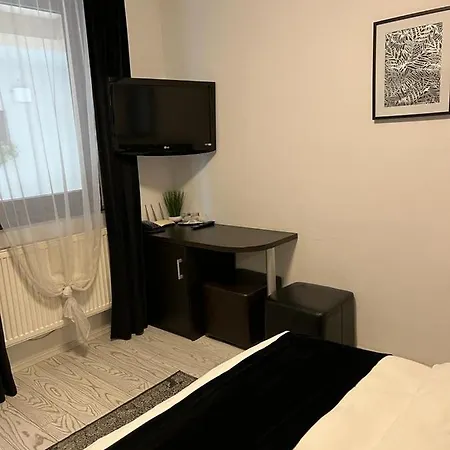 Pensiunea Max Guest house *