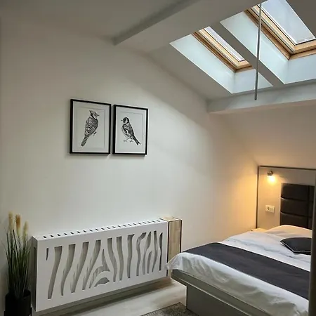 Pensiunea Max Cluj-Napoca