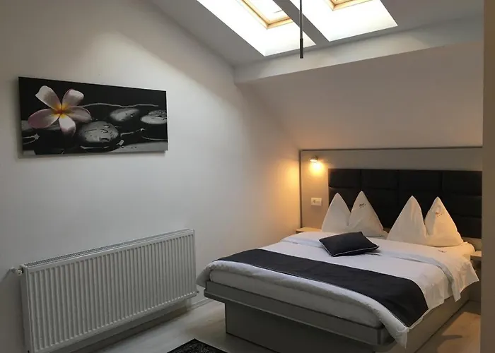 Pensión Pensiunea Max *