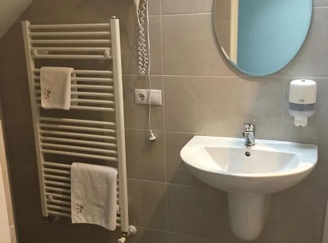 Pensiunea Max Maison d'hôtes Cluj-Napoca