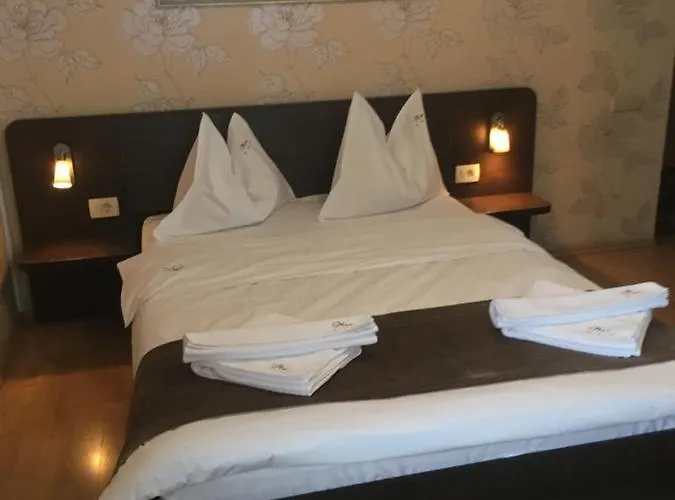 Pensiunea Max Guest house