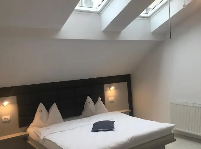 Guest house Pensiunea Max Cluj-Napoca