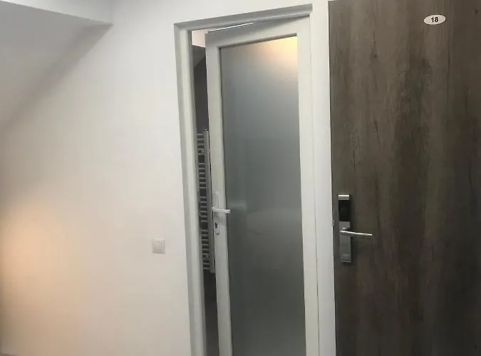 Pensión Pensiunea Max