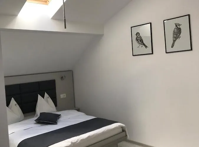 Guest house Pensiunea Max *