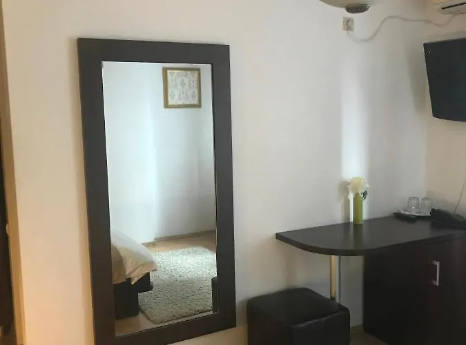 Guest house Pensiunea Max *