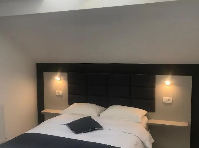 Pensión Pensiunea Max *