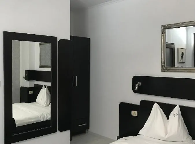 Pensiunea Max Maison d'hôtes