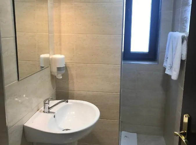 Pensiunea Max Maison d'hôtes