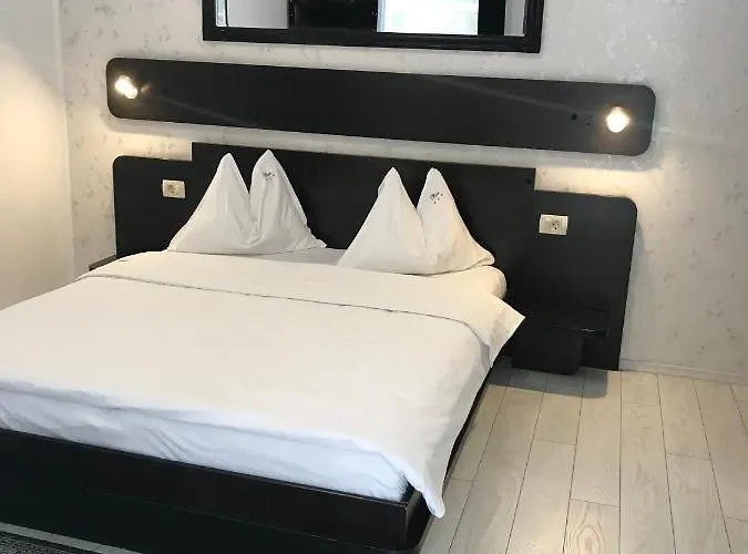 Pensiunea Max Maison d'hôtes Cluj-Napoca