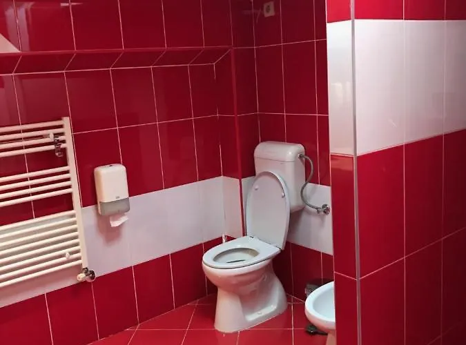 Pensiunea Max Pensión