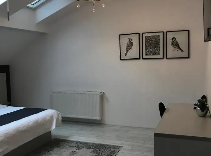 Pensión Pensiunea Max Cluj-Napoca