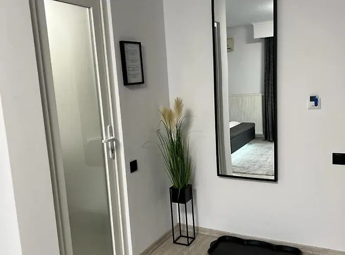 Guest house Pensiunea Max