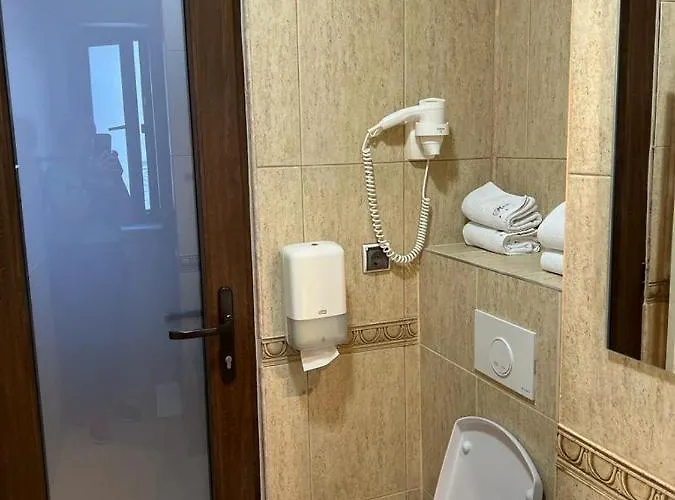 Pensiunea Max * Cluj-Napoca