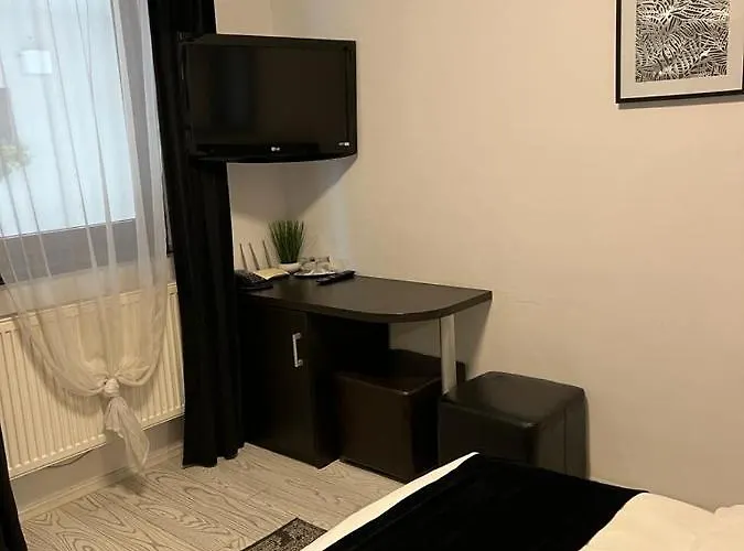 Pensiunea Max Maison d'hôtes *