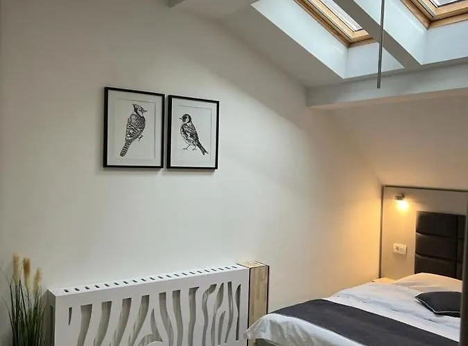 Pensiunea Max Cluj-Napoca